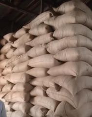 Cocoa Beans – product photo 3, product detail gallery