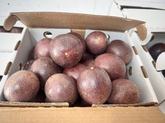 Ester Purple Passion Fruit – product photo 4, product detail gallery