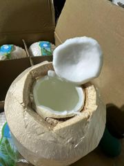 Diamond Cut Coconut (Fresh Young Coconut) – product photo 1, product detail gallery