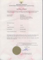 Anyball certificate from Dmantis Sports Goods Co., Ltd.