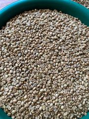 SUMATRA GREEN COFFEE BEAN ROBUSTA FINE AND ARABICA – product photo 5, product detail gallery