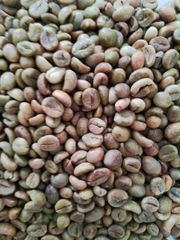 Indonesian Robusta Green Coffee Beans - Grade 1 – product photo 1, product detail gallery