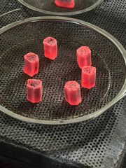 Coconut shell briquettes charcoal bbq and shisha - Image 2