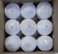 Diamond shape, young coconut Grade Class A Port Ho Chi Minh Type Xiem Variety Grown In Mekong Delta Packaging 9 pcs/carton - Image 2