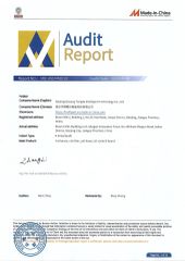 Audit report certificate from Nanjing Qixiang Tengda Intelligent Technology Co., Ltd