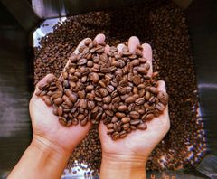 Vietnam Robusta Coffee Bean Export to EU, Korea, USA High Quality Low Price Wholesale for Roasted / Green Coffee Beans – product photo 4, product detail gallery