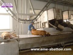 Top Quality Hogs Slaughterhouse Meat Processing Livestock Abattoir Equipment Pig Slaughtering Machine - Image 4