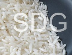 Parmal Pr-11 Sella Non-Basmati Rice Best Quality High Selling Non Basmati Rice Wholesale Offer Price - Image 2