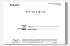 SGS Certification certificate from Lonyu Agv Co., Ltd