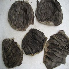 Wholesale Bulk Dry Salted Halal Beef Omasum / Frozen 100% Natural IQF Freezing Process Nutritious - Image 2