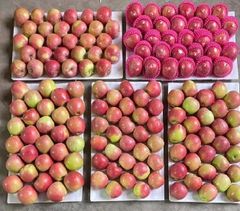 Fruits - Image 1