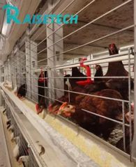 Advanced High-Accuracy Tools for Automatic Chicken Farm Management - Image 3