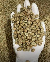 Greenbean Coffee,Roastedbean Coffee,Ground Coffee – product photo 4, product detail gallery