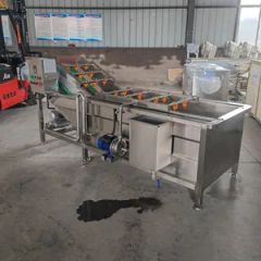 Automatic Food Processing Line Fruit Vegetable Bubble Cleaning Machine - Image 1