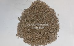 Arabica Coffee - Image 2