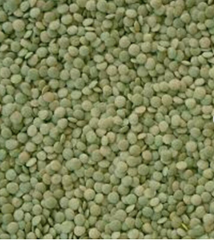 Cheap 100% Organic Whole Moong Dal/Green Mung Beans Dried Directly From Farm with Best Indian Suppliers Natural Color and Taste - Image 3