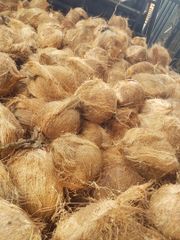 Husked Coconut – product photo 2, product detail gallery