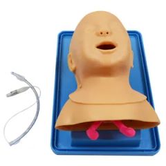 Medical Science Human Trachea Intubation Model for Nurse Training - Image 5