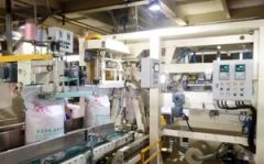 Smart Automatic Palletizer for Streamlined Laundry Detergent Packaging - Image 3