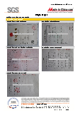 Naipu SGS Documents certificate from Shijiazhuang Naipu Pump Co., Ltd.