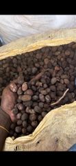 Shea nut Packaging Carton Weight (kg) 20kg Texture Moisturizing Vitamin Content High Source Shea Tree Seeds Fatty Acid Content High - Image 1