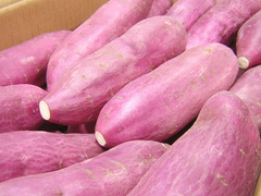 Sweet Potato – product photo 1, product detail gallery