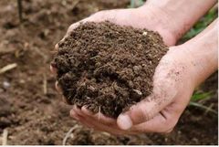 Organic Soil - Image 2