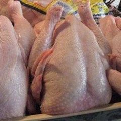WHOLE FROZEN CHICKEN - Image 1