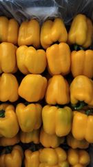 Premium Fresh Mixed Bell Pepper (Red & Yellow) - Export Quality - Image 3