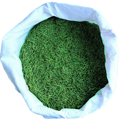 Ephedra Herbs – product photo 1, product detail gallery
