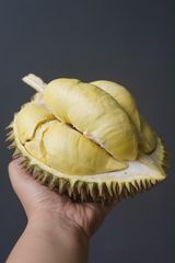 Durian – product photo 1, product detail gallery