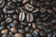Ceylon Coffee – product photo 2, product detail gallery
