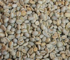 RARE Sumatera Robusta & Arabica beans - Specialty, Grade 1-4 Available – product photo 4, product detail gallery