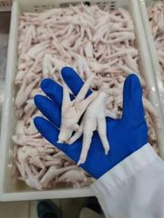Frozen Chicken Feet/High Quality Frozen Chicken Feet For Sale/Premium Chicken Paws & Feet Exporters - Best Prices & Qual - Image 5
