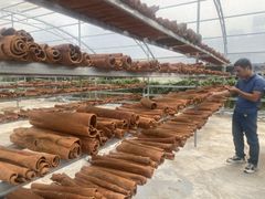 WHOLE CASSIA CINNAMON Color Natural Brown Max. Moisture (%) 13,5 Quality No moldy, not worm - eaten, not rotten and not black - Image 4