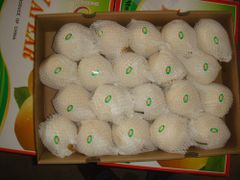 Chinese high quality Ya pear Grade A Taste Sweet Style Fresh Weight (kg) 0.3 Variety Ya Pear Certification TOP Type Pear, Ya - Image 6