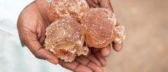 Gum Arabic Natural Acacia Gum for Food Beverage Cosmetic Pharmaceutical and Industrial Applications - Image 4