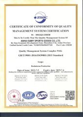 ISO9001 certificate from Dmantis Sports Goods Co., Ltd.