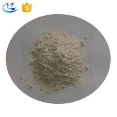 Sports Nutrition Food-Grade Rice Protein Powder Stabilizers and Nutrition Enhancers - Image 2