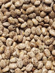 Pinto Beans - Image 2