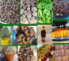 Company – thumbnail 1 of 9, supplier detail gallery