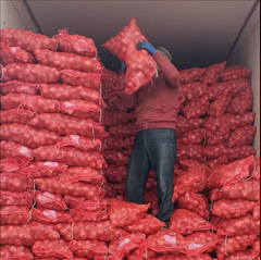 Wholesale Red and Yellow Onions Available In Stock - Image 1