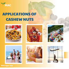 Hot Product! 100% delicious, high quality Vietnamese cashew nuts W240, plump nuts produced in Vietnam, suitable for making cakes, candies, and dieting - Image 8