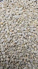 Arabica Coffee Beans - Image 2