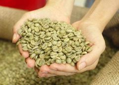 Coffee Beans - Image 1