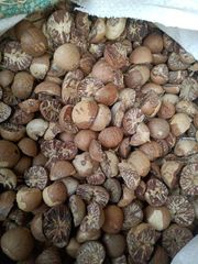 Premium Indonesia Dried Betel Nuts (Areca Nuts) | Whole, Split 80/85 - 90/95 & Boiled Grades | Export Bulk Supply - Image 3