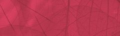 Toxin Binders - Image 1