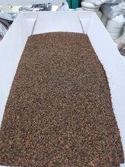 Black Tea - Image 6