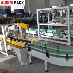 Automatic Low Cost Case Packer Carton Case Packing Machine - Image 4