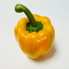 China Origin High Quality Red/Yellow/Green Fresh Bell Pepper - Image 5